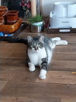 /album/09-11-20251/afbeelding-van-whatsapp-op-2025-11-07-om-12-30-42-02845efd-jpg/